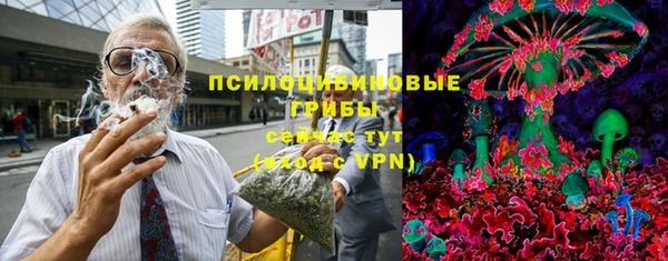 дмт Алексин