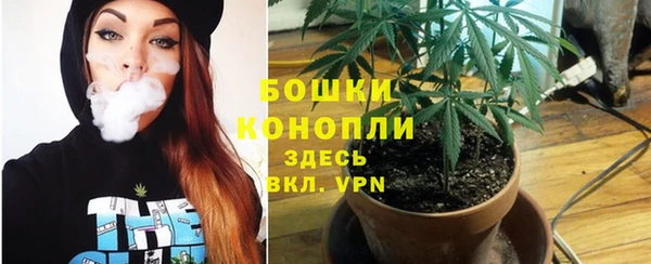 сатива Абдулино